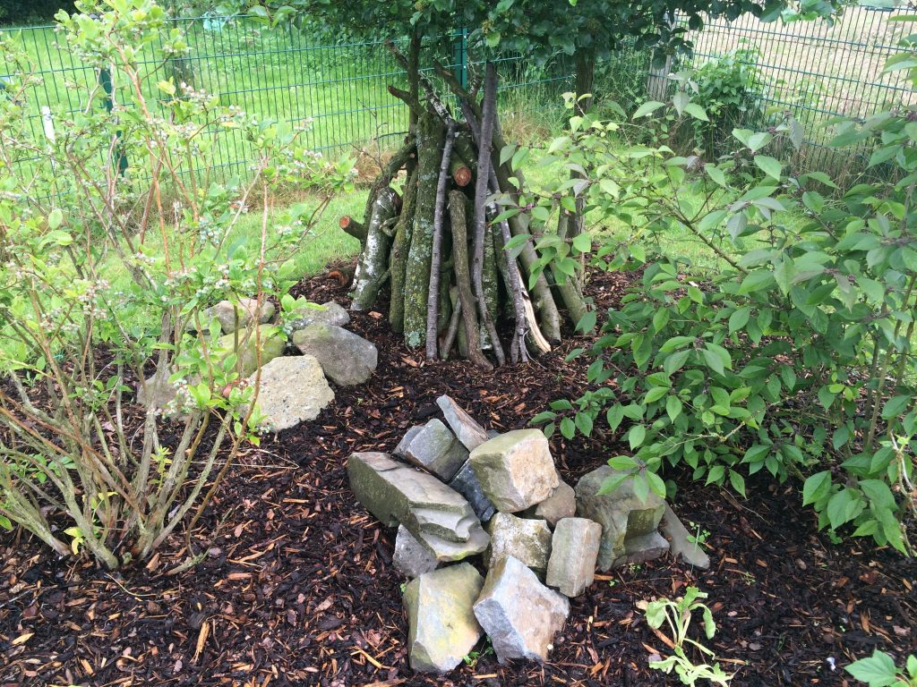 Insektenschutz im Hausgarten Glücklichgarten