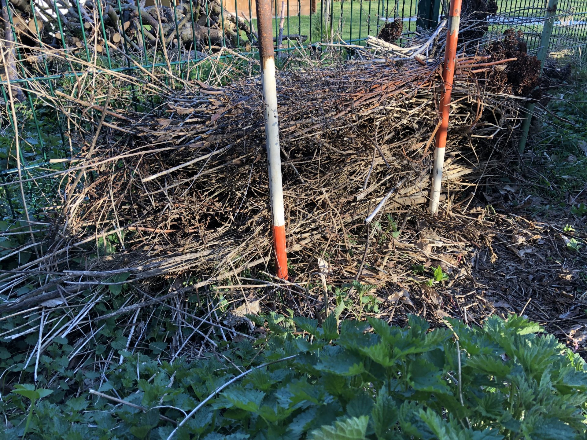 Insektenschutz im Hausgarten Glücklichgarten